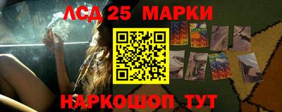 гидропоника Татарск