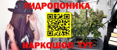 гидропоника Татарск