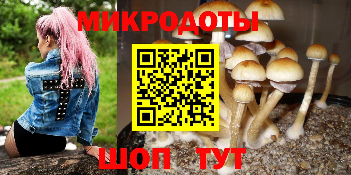 закладки  Галлюциногенные грибы MAGIC MUSHROOMS  Вход с VPN  Аша  Псилоцибиновые грибы ЛСД 